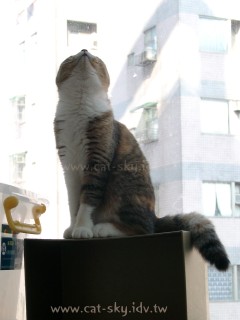 20041120_45s.JPG, 20 KB