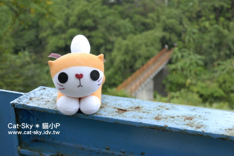*橘小趴帶領大家走情人橋 (貓小P的襪娃娃)