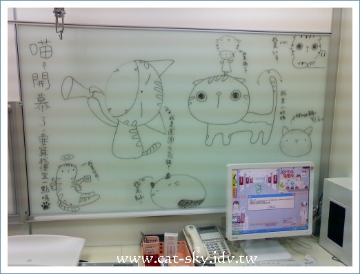 小P在101台北貓醫院診療室寫板上的貓插畫!