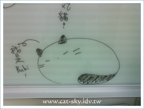 第四彈_Bubi  喜歡窩成一團的Bubi~