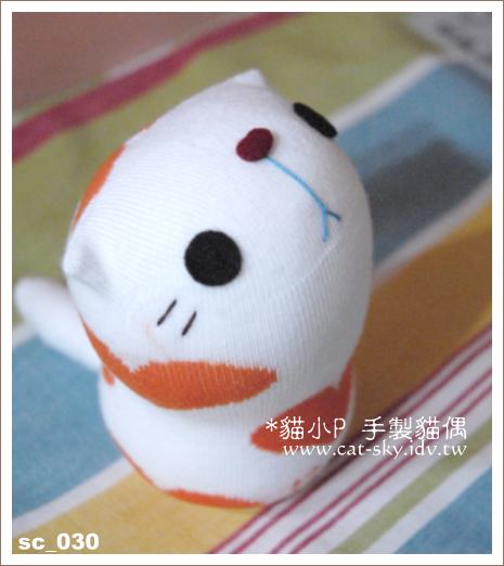 身上有著橘色愛心的小白貓_甜甜