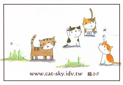 貓插畫-貓物語雜誌no.33