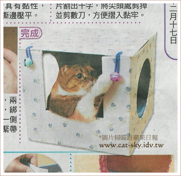 糖糖正在玩貓窩上的鈴鐺