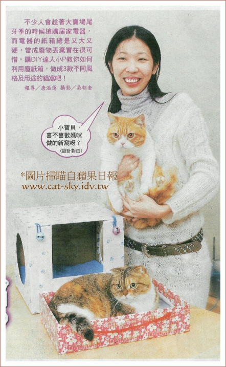 肥糖和圓圓是貓咪模特兒,好友小若當人物模特兒喔!