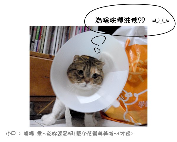 為什麼又是我？？