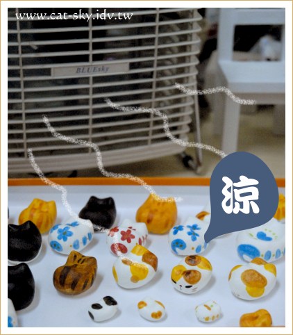 吹電風扇的貓餃子