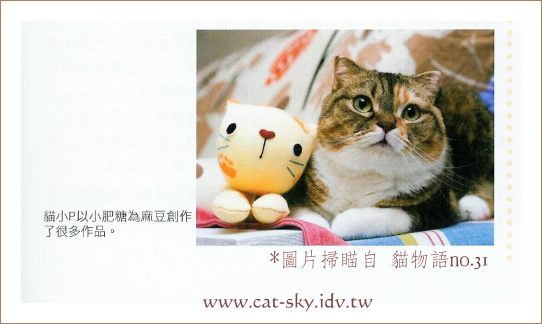 小肥糖與襪子貓偶