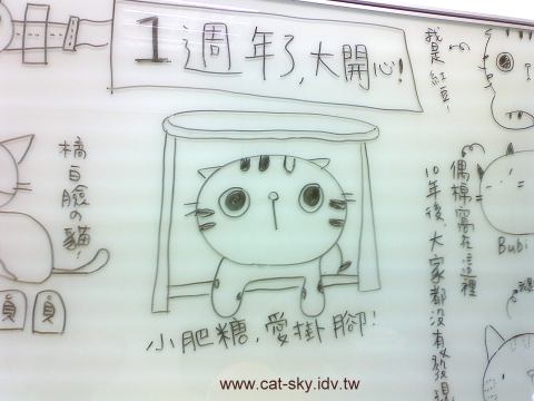 小肥糖愛掛腳.......