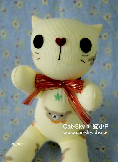 catsky-元氣貓 小黃
