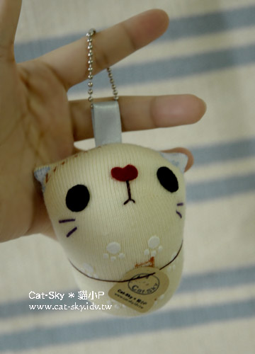 小貓咪 乖~ (摸頭~)