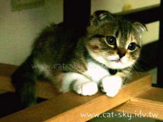糖糖生活照-1-20040214
