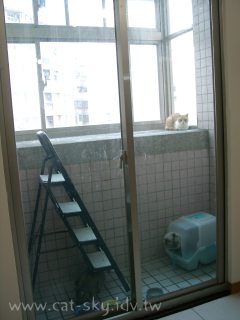 陽台本身就是陽春的貓套房