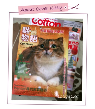 about cover kitty -  小肥糖 !