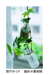 小瓶罐 *花草植物瓶