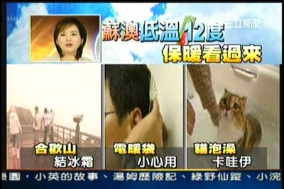 貓咪泡澡卡哇伊-愛泡澡貓糖糖上三立新聞嘍!