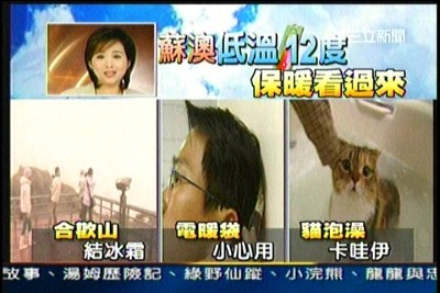 貓咪泡澡卡哇伊-愛泡澡貓糖糖上三立新聞嘍!